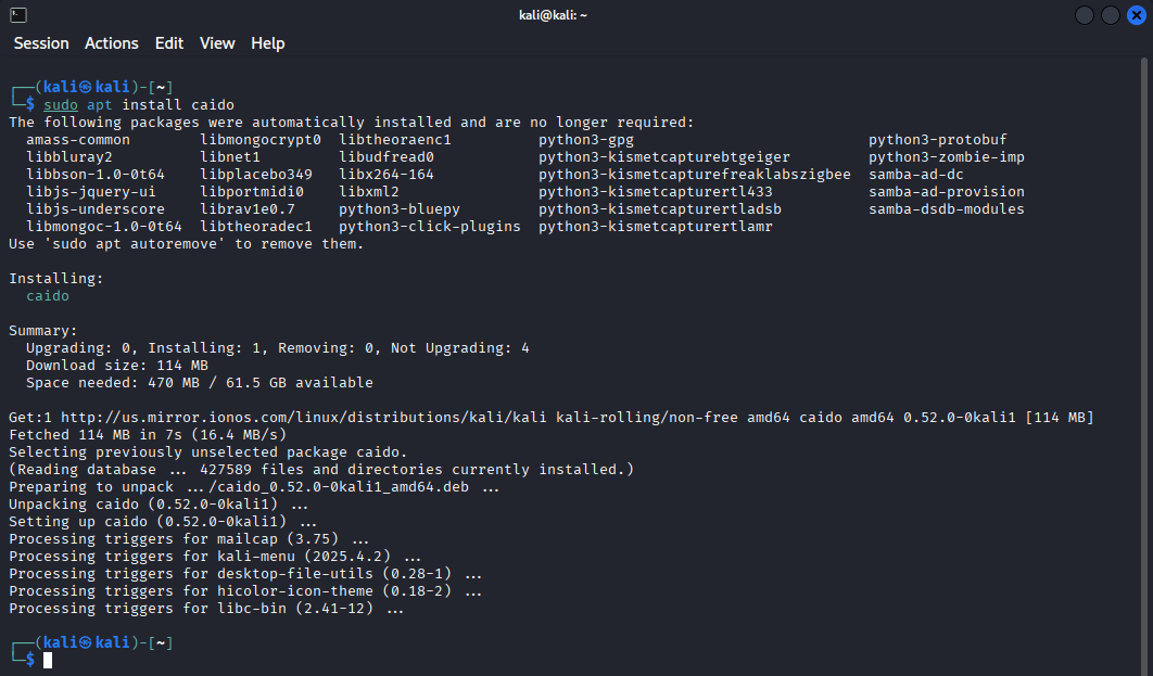 Installing Caido on Kali Linux.